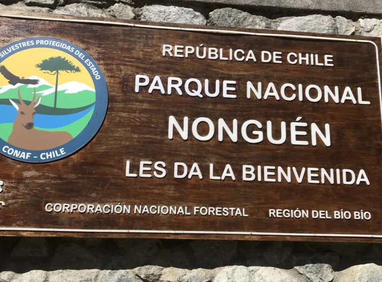 CONAF y ECOGEN trabajan con ADN AMBIENTAL