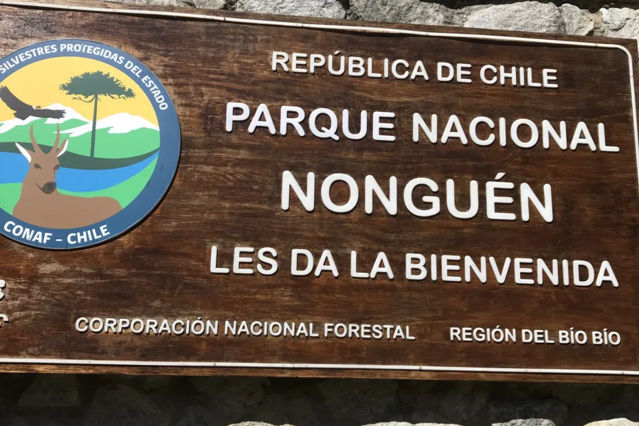 CONAF y ECOGEN trabajan con ADN AMBIENTAL