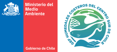logo-01