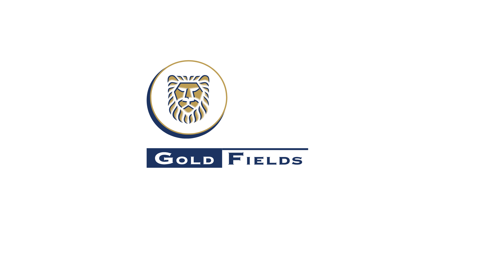 Gold Fields